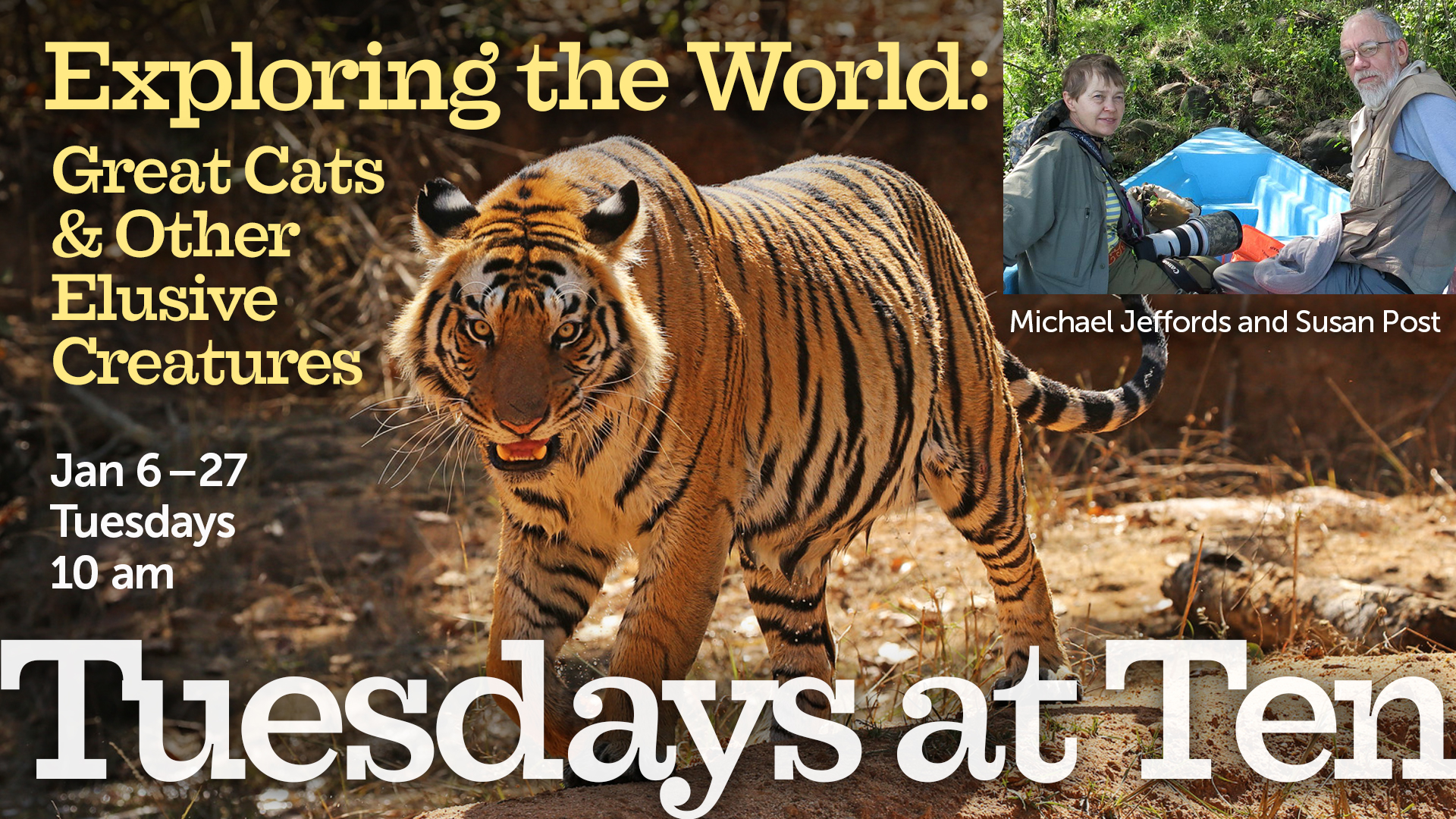 Large tiger in the jungle with event info text