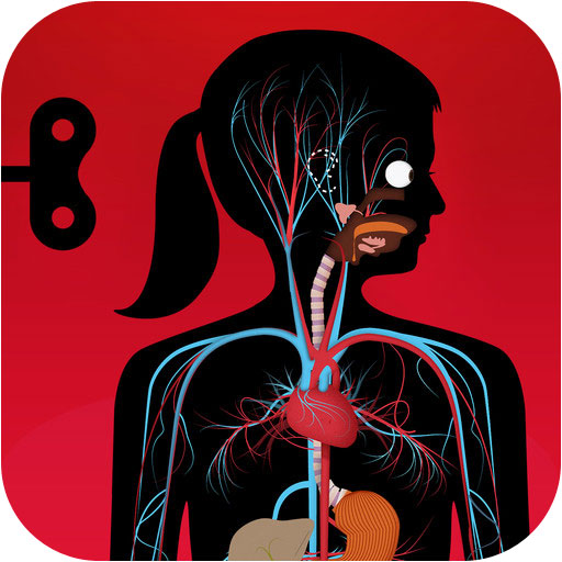 The Human Body