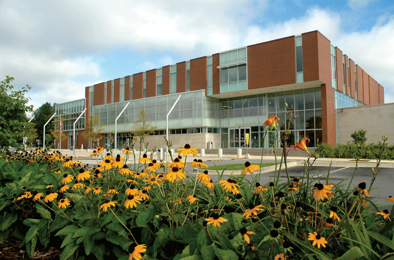 Main Library entrance from parking lot